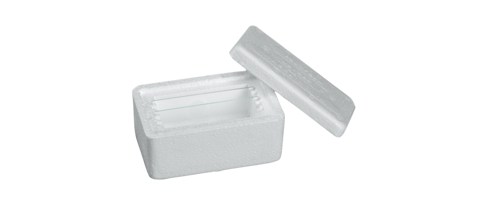 ESTUCHE DE ESPUMA EN EPS PARA 5 DIAPOSITIVAS