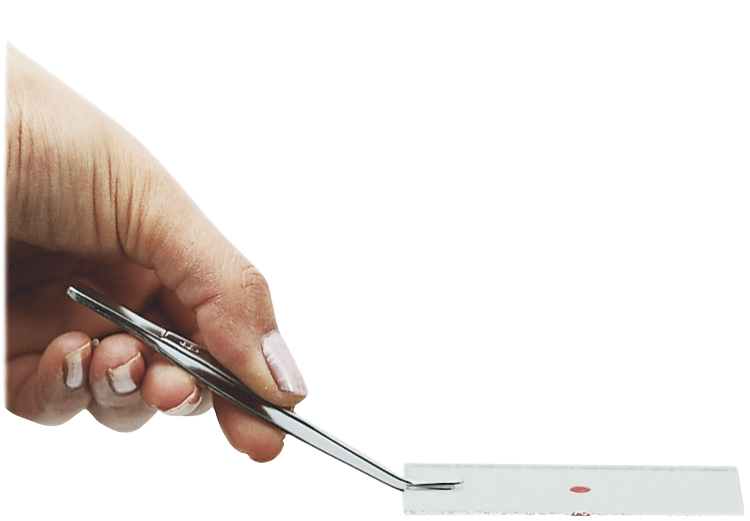 Pinza Para Porta-Objetos