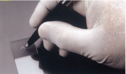 Lápiz Con Punta De Tungsteno