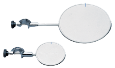 Plato Con Nuez Circular