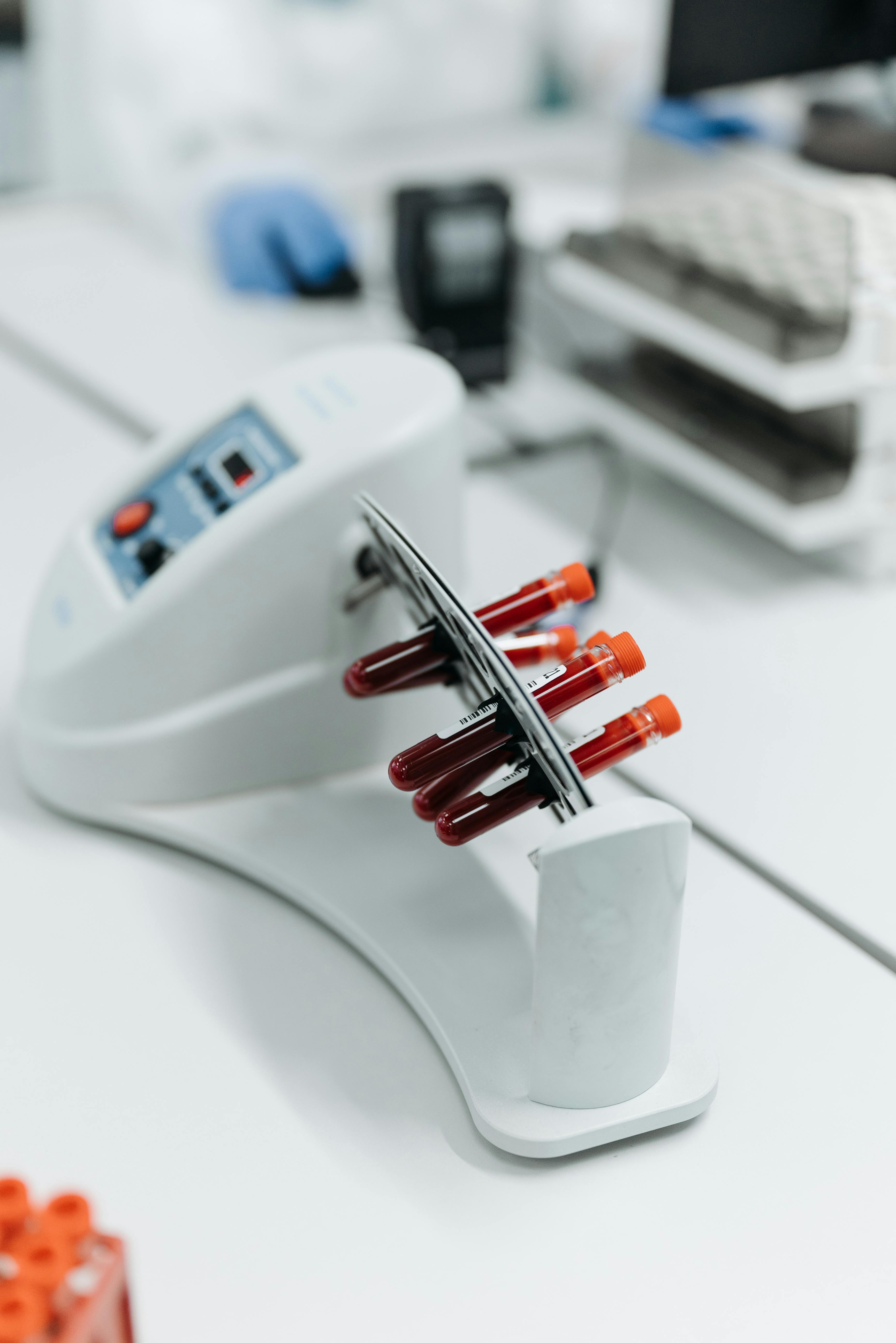 Sectores principales